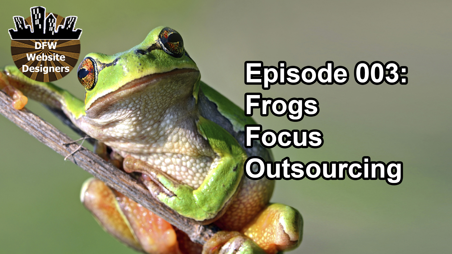 Episode 003: Frogs, Focus & Outsourcing
