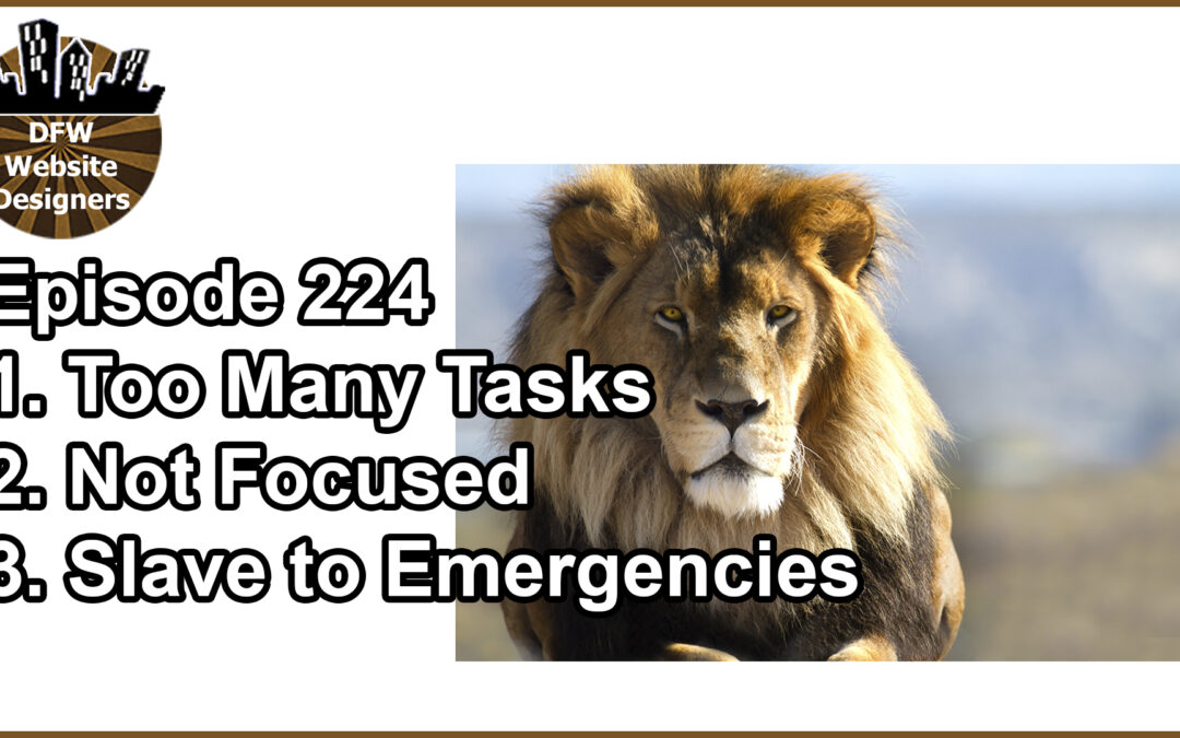 Episode 224 Lion Syndrome: Too Many Tasks, Not Focused, Slave to Emergencies