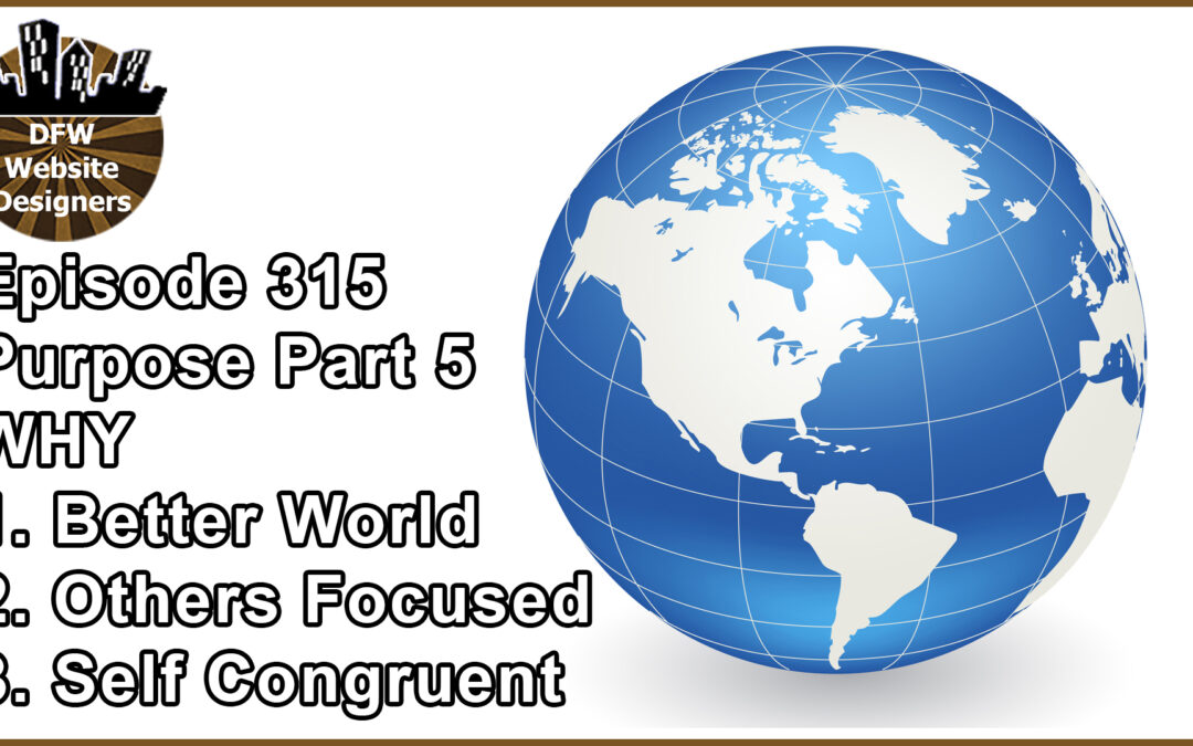 Episode 315 Purpose Part 5 WHY: Better World, Others, Self Congruent